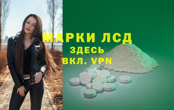 мдпв Магас