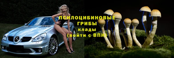 герыч Майский