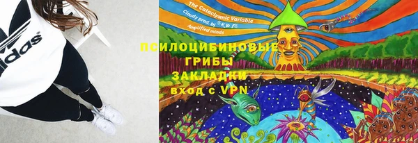мдпв Магас