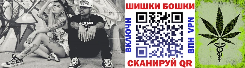 купить наркотики сайты  Николаевск  Конопля план 